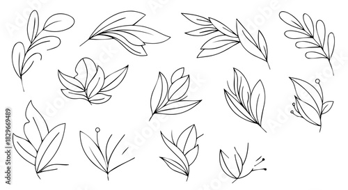 Hand-drawn botanical leaf sketches scattered across a clean white background, simple line art and natural motifs.