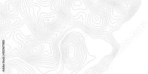 Modern area abstract topography map design. White curve map background. geometric topographic world grid wave Topographic map geographic line texture.	