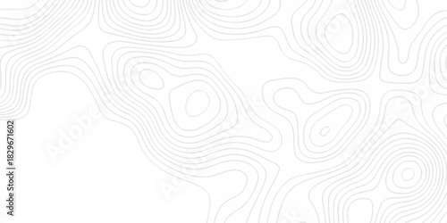 Modern land relief geographic abstract topography map design White background. geometric topographic world grid wave Topographic map geographic line texture.	