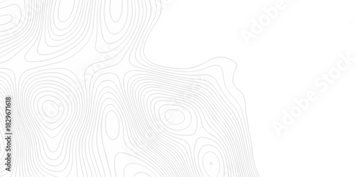 Modern land relief geographic abstract topography map design White background. geometric topographic world grid wave Topographic map geographic line texture.	