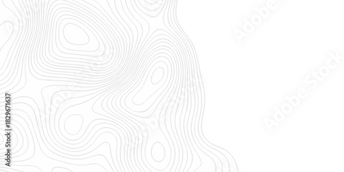 Modern area abstract topography map design. White curve map background. geometric topographic world grid wave Topographic map geographic line texture.	