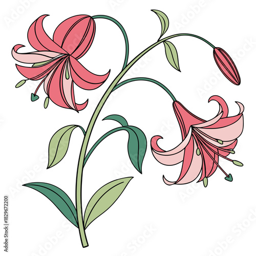 Sweet Pea Flower Art with Bud and Leaves