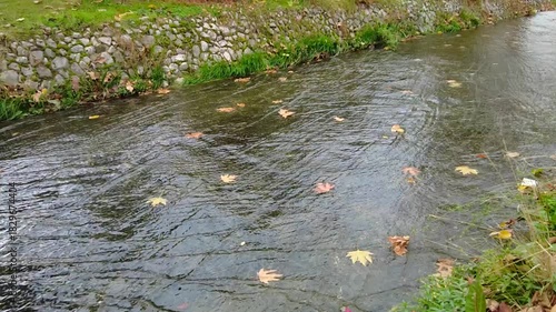 The last fallen leaves float down the autumn river in the city park.