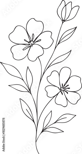 Flowering Plant Line Drawing – Black and White Botanical Vector with Five-Petaled Blooms, Bud, and Elongated Leaves