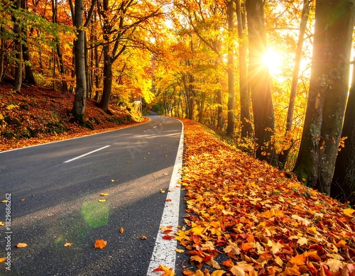 Winding asphalt road through vibrant, sunlit autumn forest