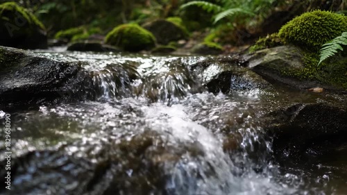 Small waterfall flowing through a lush forest river scene