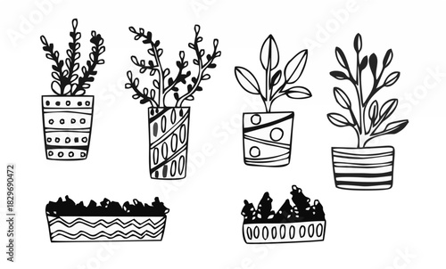Hand drawn houseplants. Vecto...