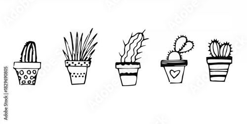 Set of house plants in pots w...