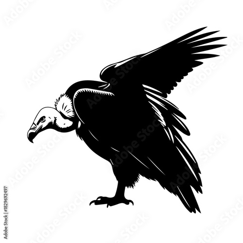 Black and white illustration of a vulture with wings slightly spread, looking down, in a side profile.
