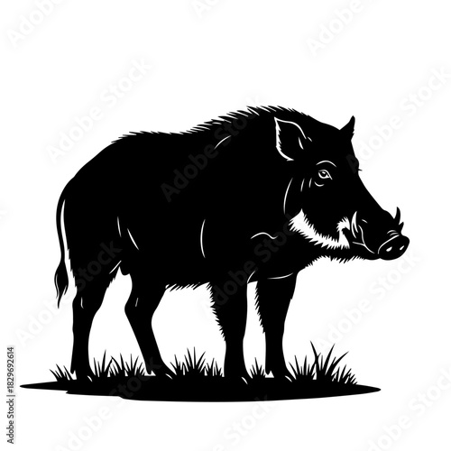Black silhouette of a wild boar with prominent tusks standing on a patch of grass, graphic illustration.