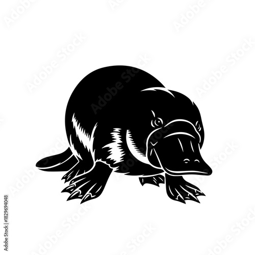 Black and white illustration of a platypus, a unique semi-aquatic mammal native to eastern Australia, with its distinctive duck-bill and webbed feet.