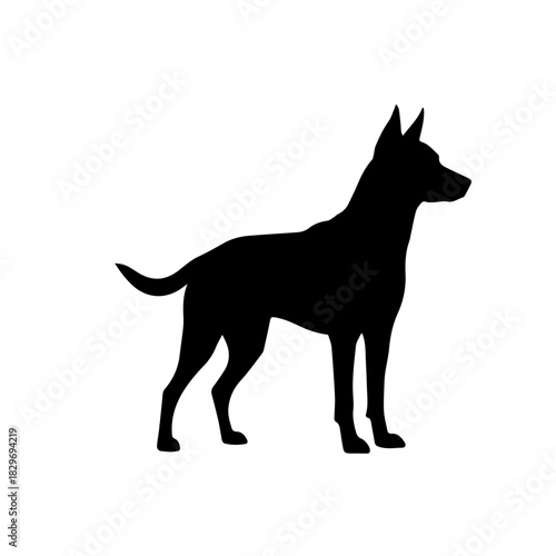 Black silhouette of a standing dog with pointed ears and an alert posture on a white background.