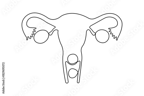 Minimalist women's uterus continuous one line drawing with simple outline vector illustration
