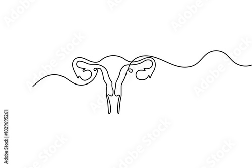 Minimalist women's uterus continuous one line drawing with simple outline vector illustration
