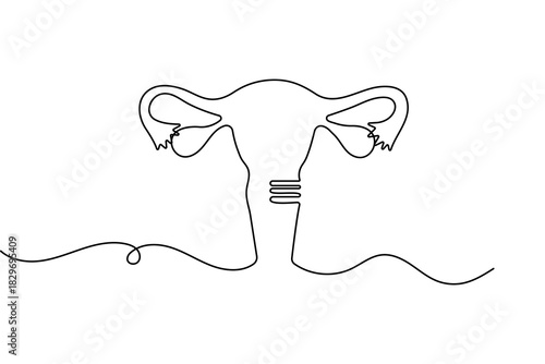 Minimalist women's uterus continuous one line drawing with simple outline vector illustration
