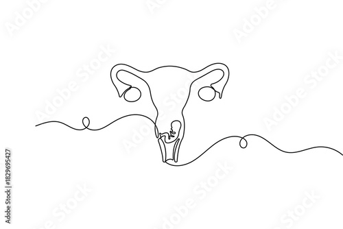 Minimalist women's uterus continuous one line drawing with simple outline vector illustration
