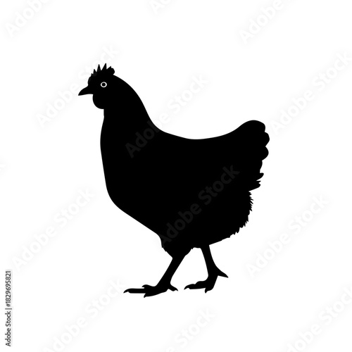 Black silhouette of a domestic chicken hen standing on a white background.