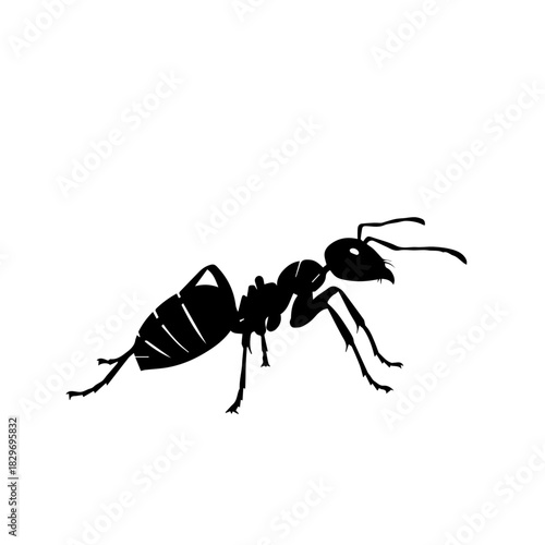 Detailed black silhouette of an ant on a clean white background, showcasing its distinct body segments and legs.