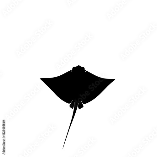 A black silhouette of a stingray swimming in water, viewed from above, against a white background.