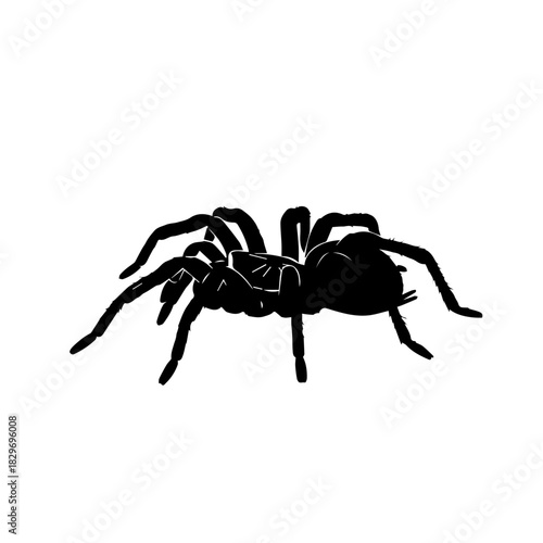 A detailed black silhouette of a tarantula spider on a white background, viewed from a slightly elevated side angle.
