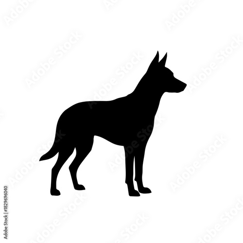 Black silhouette of a dog standing in profile on a white background, depicting a canine with pointed ears and a strong posture.