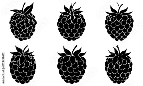 Delicious raspberry collection for summer recipes and healthy eating designs, originally vector graphics for scalable design needs, a tasty berry theme!