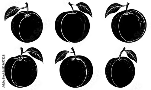 Fresh apricots, orchard harvest bounty in simple line art. Perfect for healthy food designs, summer fruit concepts, and organic food branding.