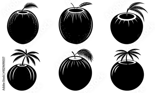 Tropical coconut drink collection, vector art, fresh fruit beverage, summer vacation, exotic refreshment, island lifestyle, healthy eating, dietary wellness