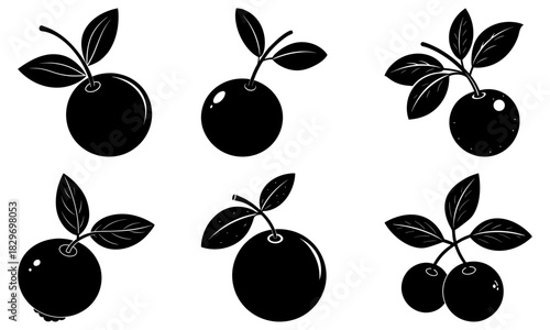 Fresh cranberries artfully arranged, perfect for holiday designs or healthy eating promotions Cranberry clip art for menus, recipes, and product packaging