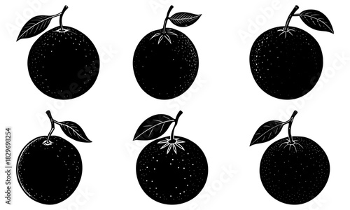 Detailed monochrome citrus fruit assortment with leaves, ideal for fresh food concepts, healthy eating designs, or vibrant summer promotions