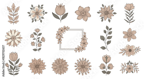 Hand-drawn collection of elegant botanical illustrations featuring various flowers, leaves, and a decorative frame in soft, earthy tones.