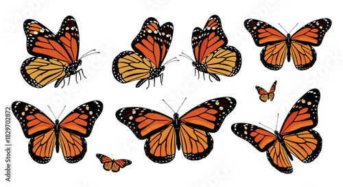 A vibrant collection of monarch butterflies, illustrating their iconic orange and black wings with white spots, isolated on a white background.
