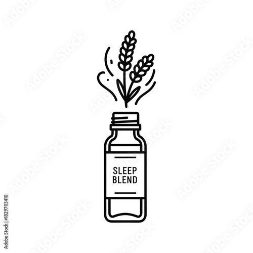 Minimalist line art icon of a sleep blend essential oil bottle with lavender sprigs emanating from the top, isolated on