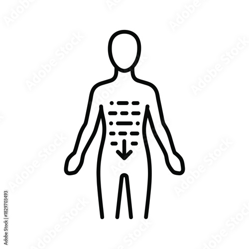 Outline icon of human torso showing internal process or flow direction with downward arrow, isolated on