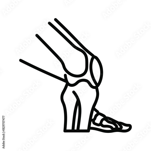 Human Leg and Foot Skeletal Anatomy Outline Icon