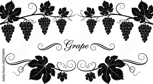 Black monochrome vector illustration featuring two detailed grape vine borders with leaves and clusters, separated by a stylized 'Grape' wordmark with flourishes, isolated for wine design.