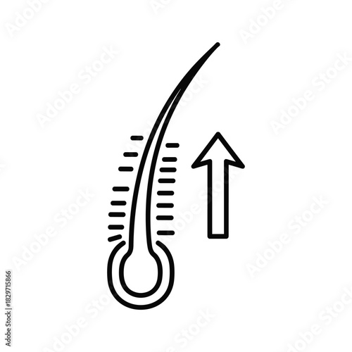 Line icon representing hair growth stimulation or follicle strengthening with an upward arrow, isolated on