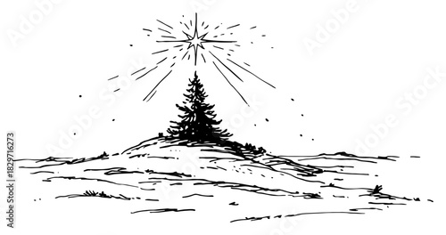 Uneven hand drawn doodle of solitary christmas tree on snowy hill with star vector illustration