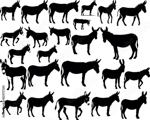 Collection of donkey silhouettes standing walking and running in various poses