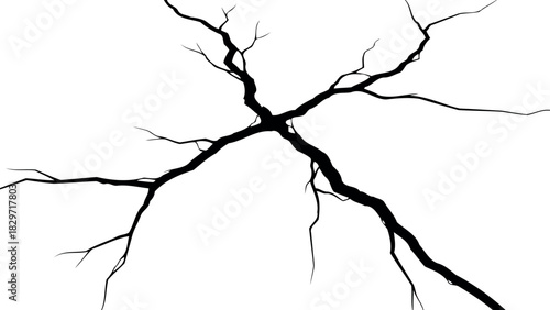 Cracked egg silhouette with white veins on a black background silhouette