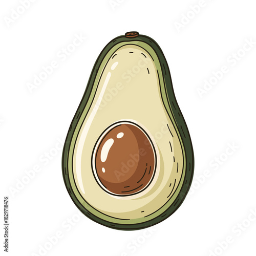 Fresh avocado cut in half showing seed for healthy eating concept