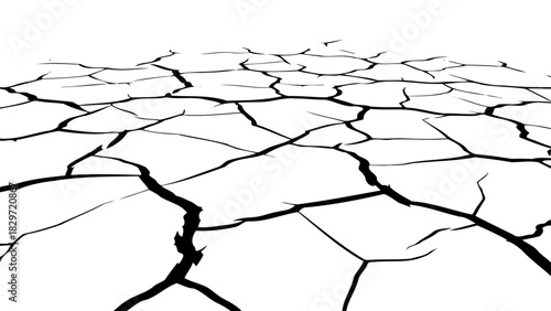 Cracked earth texture pattern in black and white silhouette