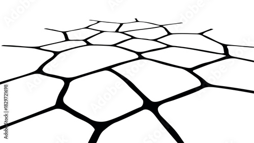Abstract stone pavement pattern perspective view black and white silhouette