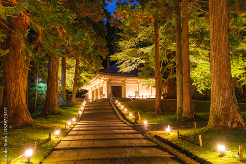 岩手県平泉町 中尊寺金色堂 秋のライトアップ