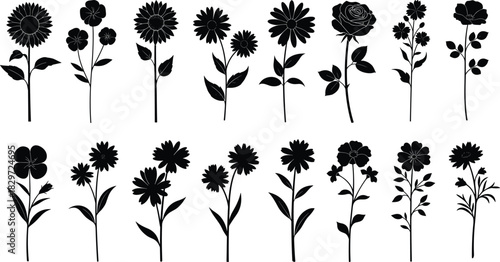 Large vector set of blooming garden flower silhouettes, including daisies and roses, black botanical graphic elements for elegant nature designs, spring greetings, and decorative floral borders.