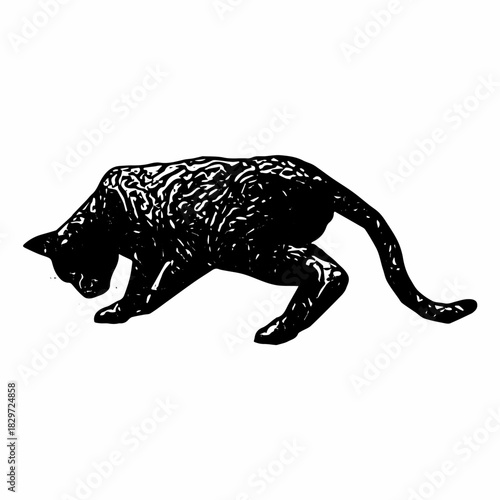 Vintage engraved cat walking low with detailed fur texture, illustrated in classic hand-drawn wildlife style.
