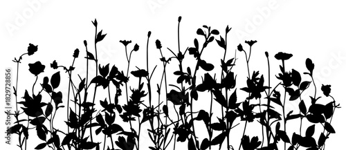 Silhouettes of spring-, summer- glade. Black basis for design on white background universal use