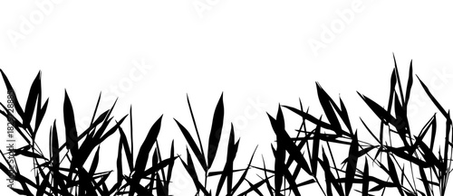 Summer floral silhouettes. Black basis for design on white background universal