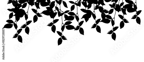 Black tree crowns silhouettes on white background