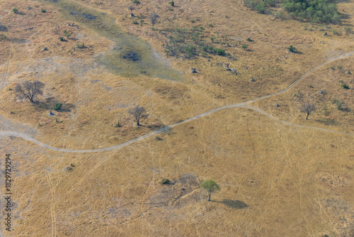 aerial shot of Botswana's bushland